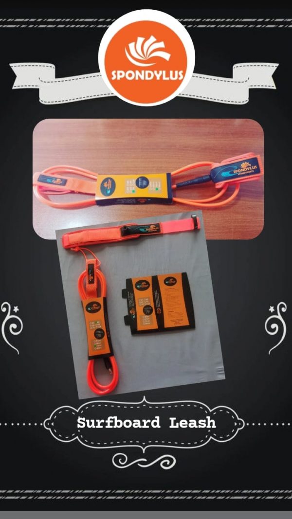 WhatsApp Image 2023-10-19 at 12.55.11 PM